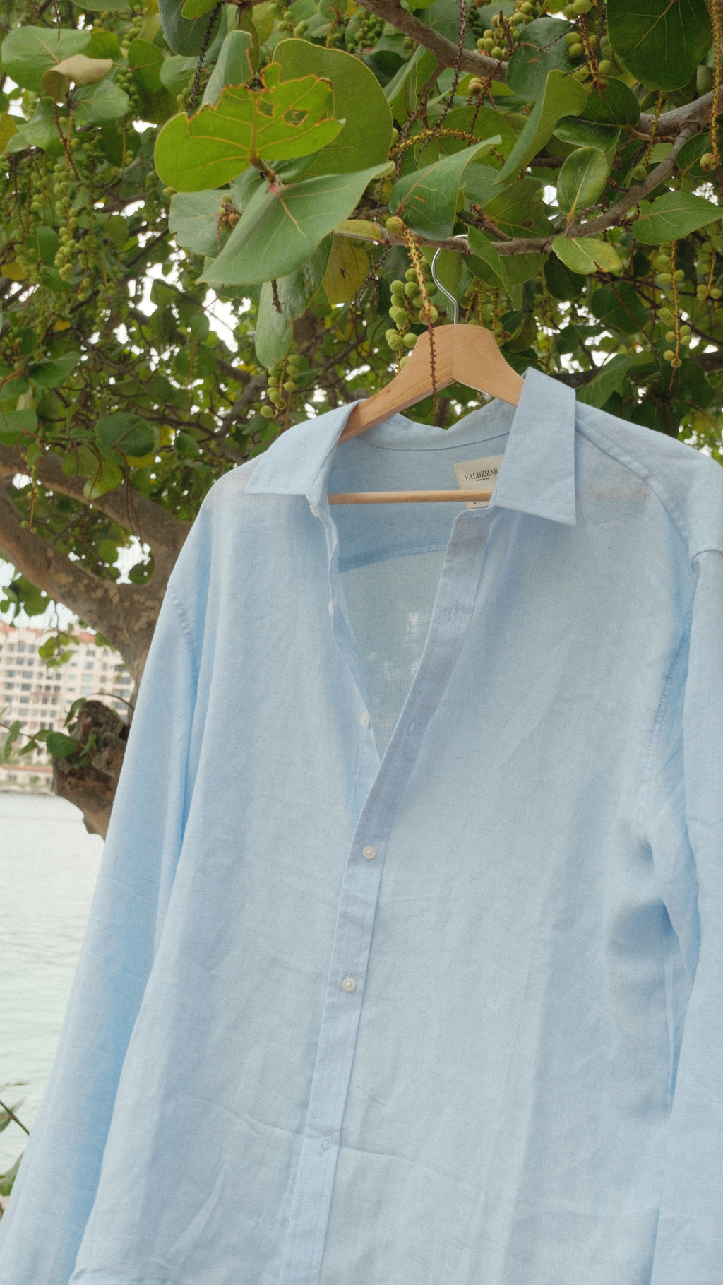 Light Blue Shirt