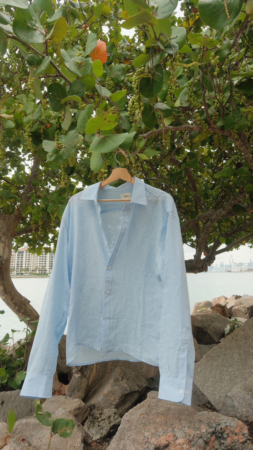 Light Blue Shirt